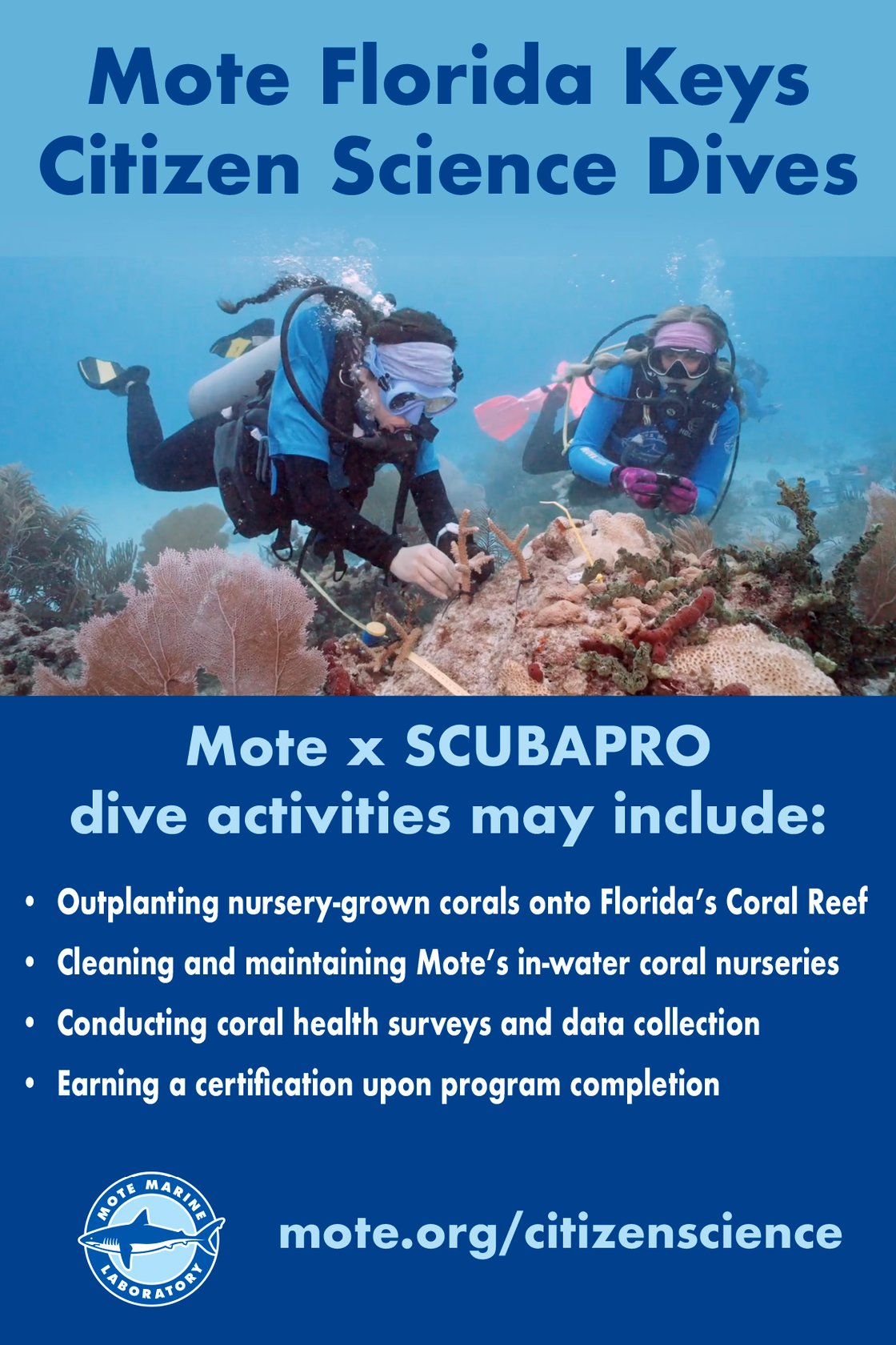 Mote Dive Citizen Science