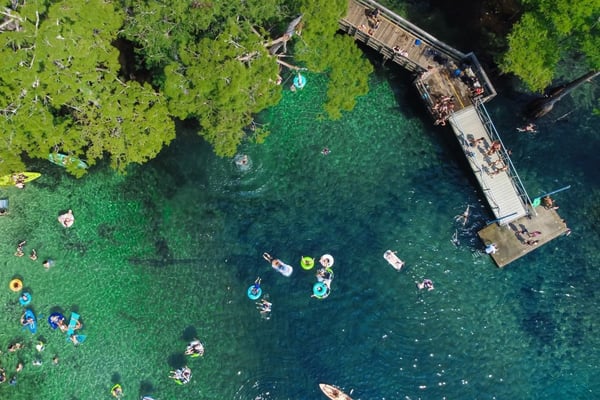 Scalloping at Crystal River Is Something Every Floridian Should Do