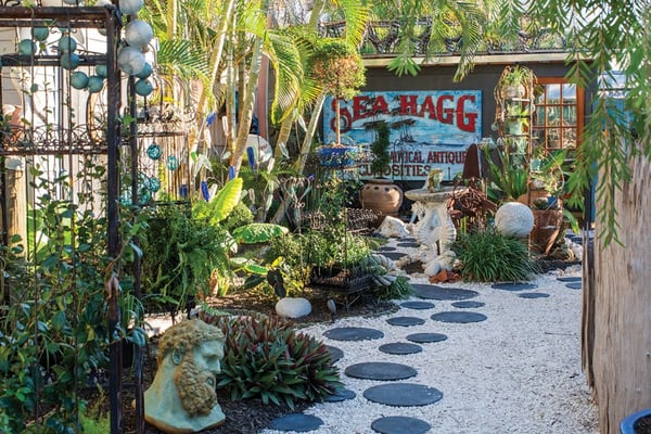 The Sea Hagg Returns