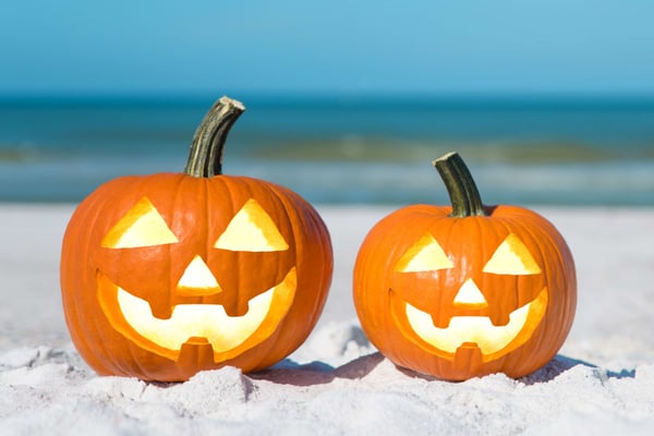 The Ultimate Guide to Your Most Spook-tacular Sarasota Halloween Ever