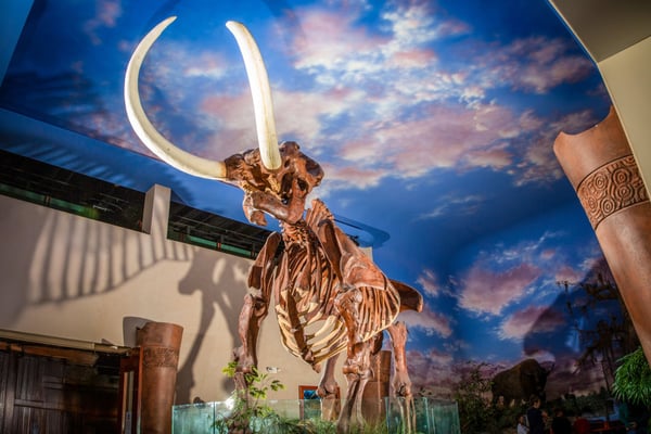 What to Do in Sarasota This Week