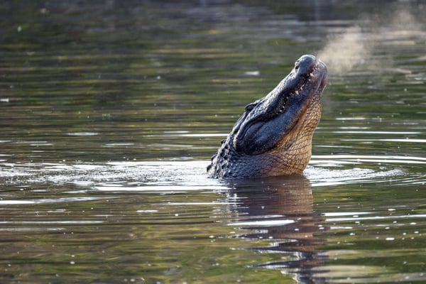 Cold Weather Shelters Are Opening Tonight in Sarasota and Manatee Counties