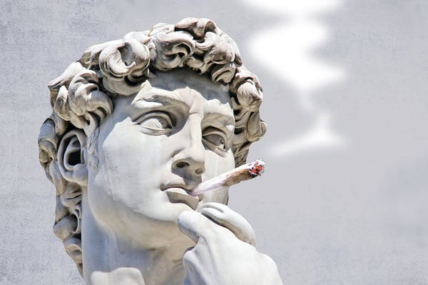 Floridas Cannabis Landscape Is Growing Like a Weed