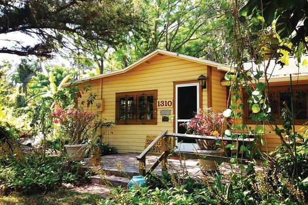 Inside the Sarasota Succulent Society