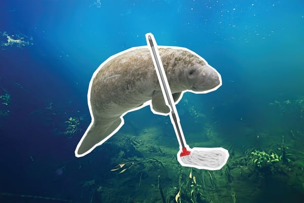 Recent You-Can’t-Make-Them-Up Headlines From Sarasota