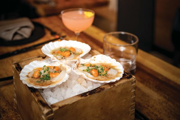 The Best Restaurants in Sarasota 