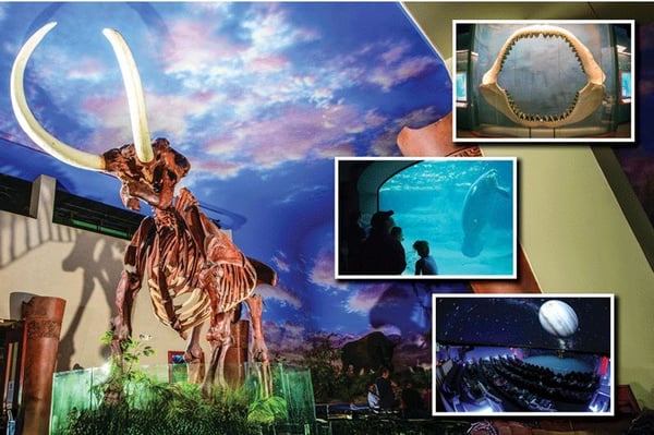 The Bishop Museum of Science and Nature