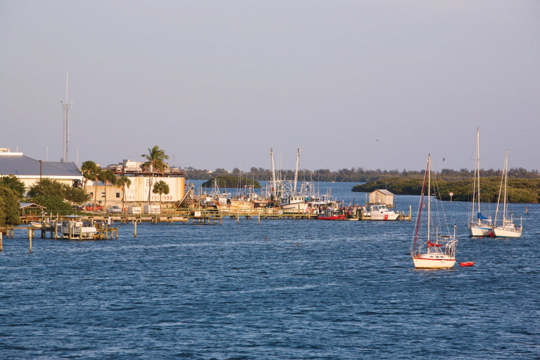 Where to Get Real Gulf Seafood