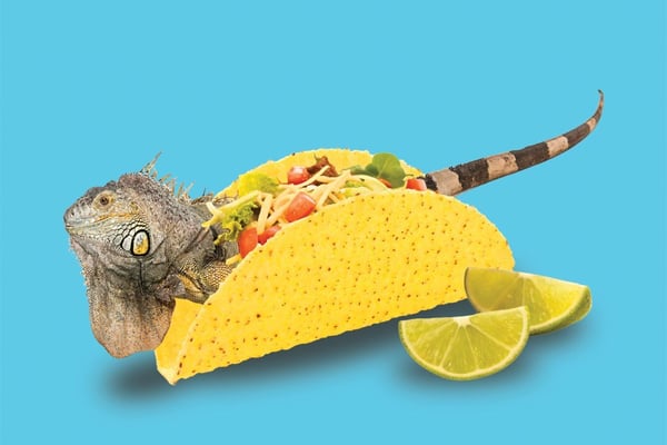 Recent You-Can’t-Make-Them-Up Headlines From Sarasota and Beyond