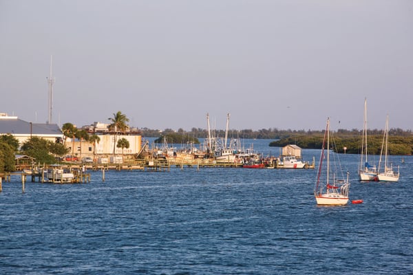 Where to Get Real Gulf Seafood