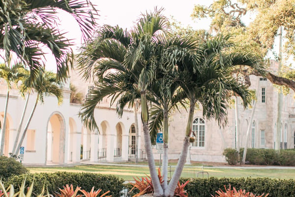 New College Foundation Votes to Dissolve Alumni Association Despite Objections