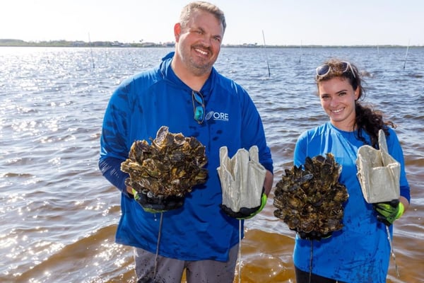 Oyster River Ecology Wants to Bring the Manatee River Back to Life