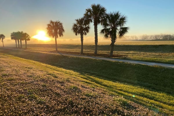 Foundations, Philanthropists Launch $1 Million Matching Campaign to Rewild the Quad Parcels at the Celery Fields