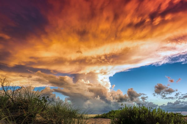 Photo of the Week Venice Beach Under a Burning Sky